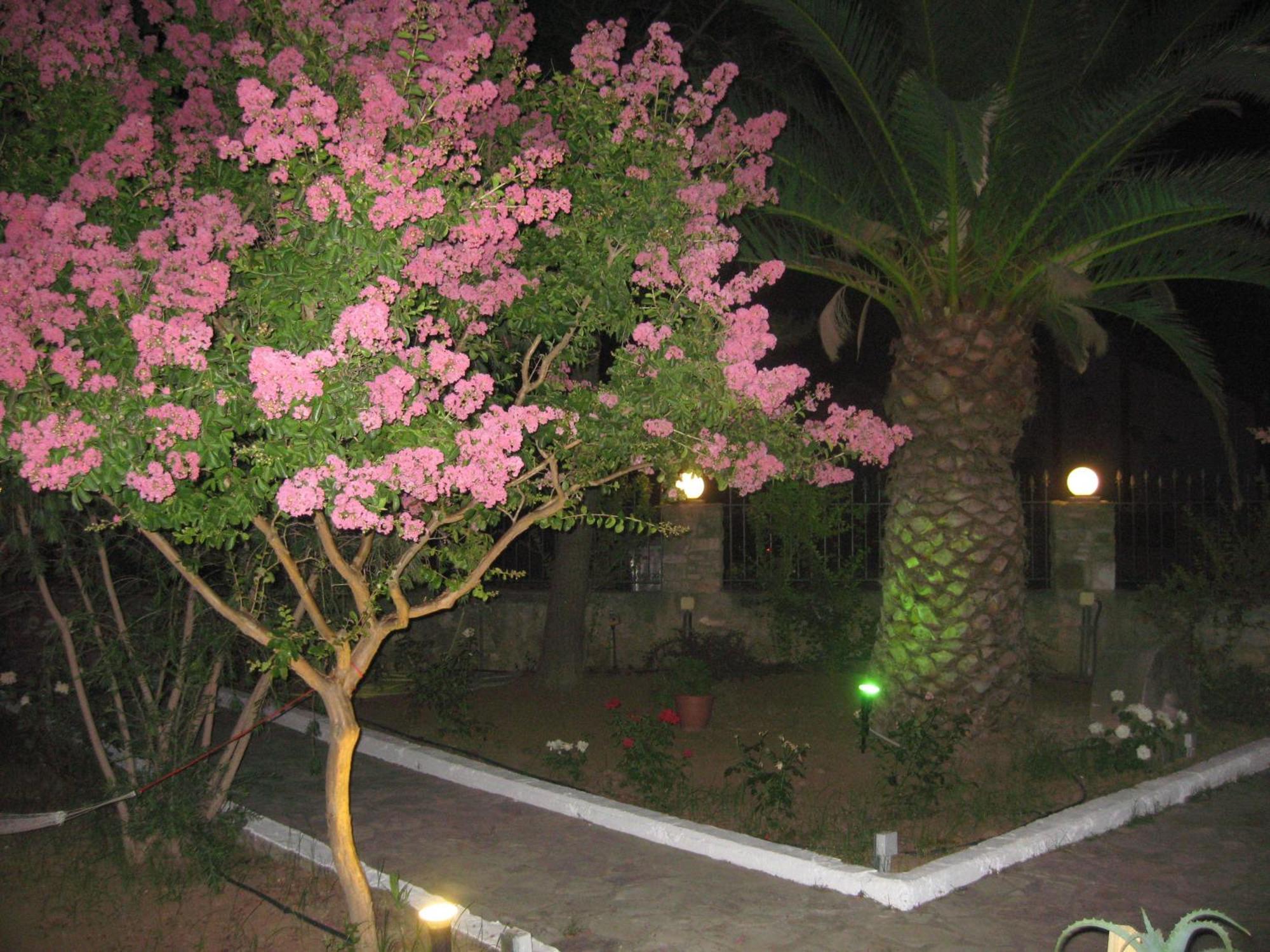 Assimakis Hotel Финикунда Экстерьер фото